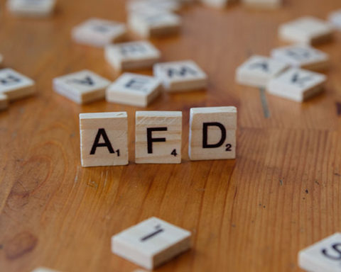 In Sachsen-Anhalt, Mecklenburg-Vorpommern und Berlin könnte die AfD im September 2026 erstmals stärkste Kraft in Landtagswahlen werden – mit Umfragewerten von bis zu 43 Prozent.